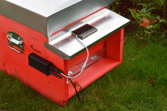 Edible Innovations: This IoT System Gives Diagnostics for Your Beehive